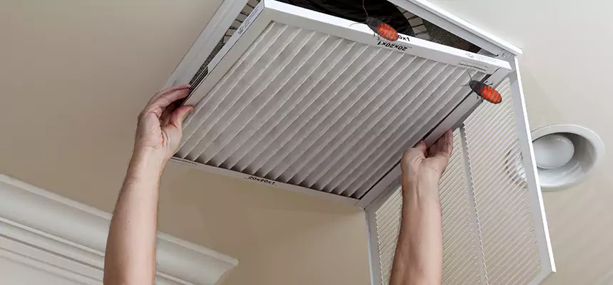 Our Insect Removal from Air Ducts Services in Fayetteville, AR