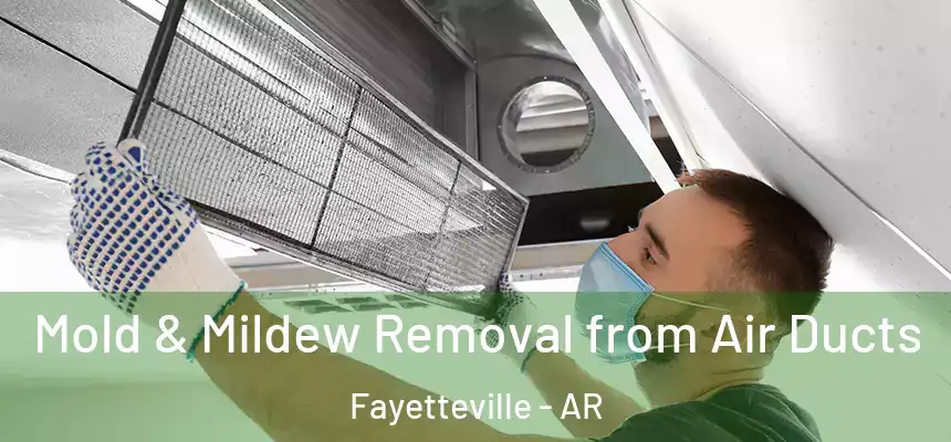  Mold & Mildew Removal from Air Ducts Fayetteville - AR