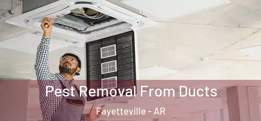 Pest Removal From Ducts Fayetteville - AR