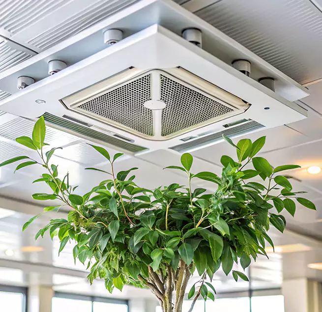 Why Homeowners & Businesses Trust Us in Fayetteville, AR?