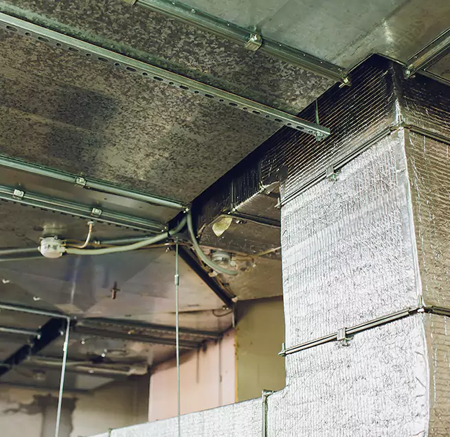 Why Homeowners & Businesses Trust Us in Fayetteville, AR?